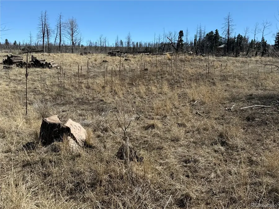 Lot 999 Foy Place, Fort Garland, CO 81133 - #3