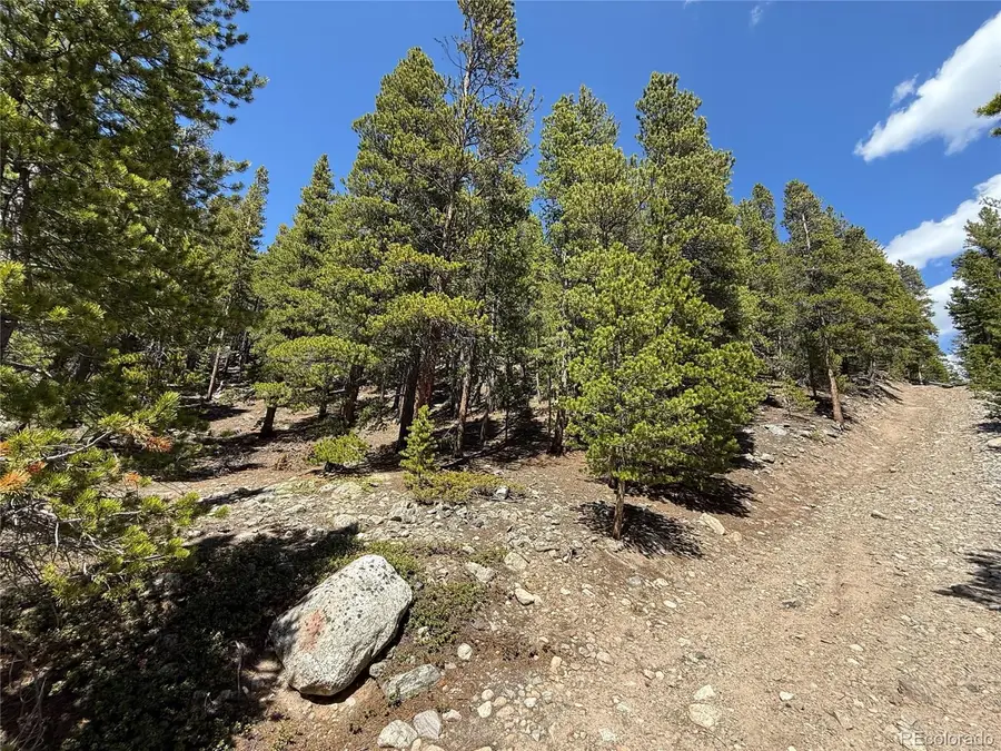 312 Vista Road, Idaho Springs, CO 80452 - #2