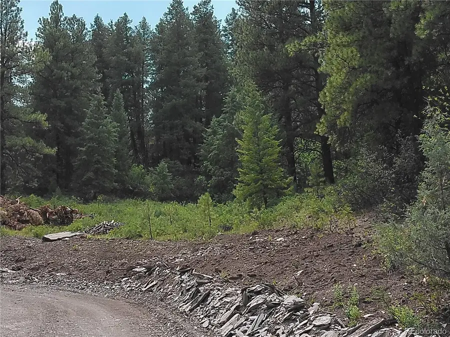 165 Tiffany Place, Pagosa Springs, CO 81147 - #3