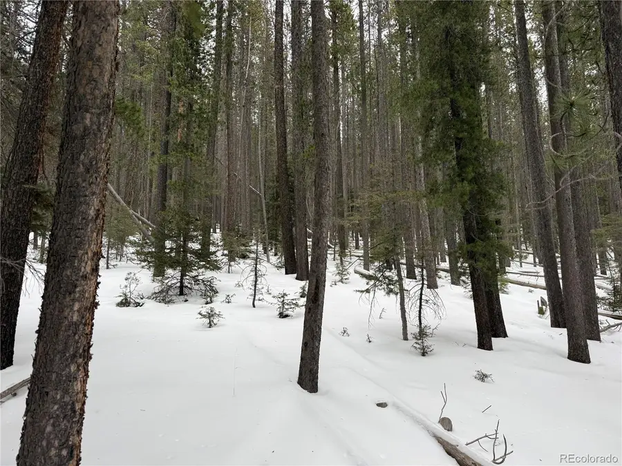 Lot 2805 Moir Drive, Fort Garland, CO 81133 - #2