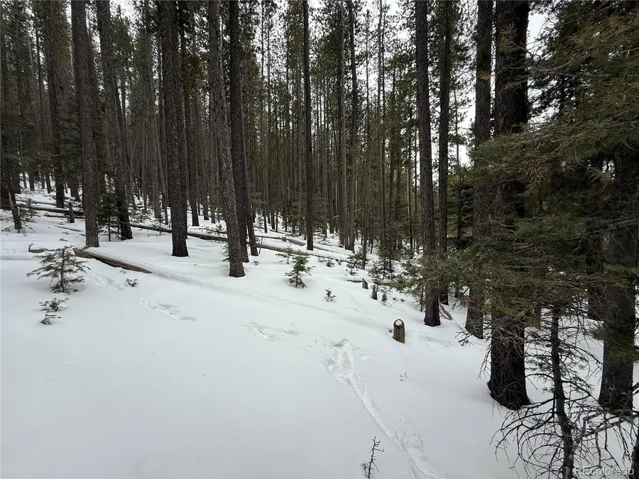 Lot 2805 Moir Drive, Fort Garland, CO 81133 - #3