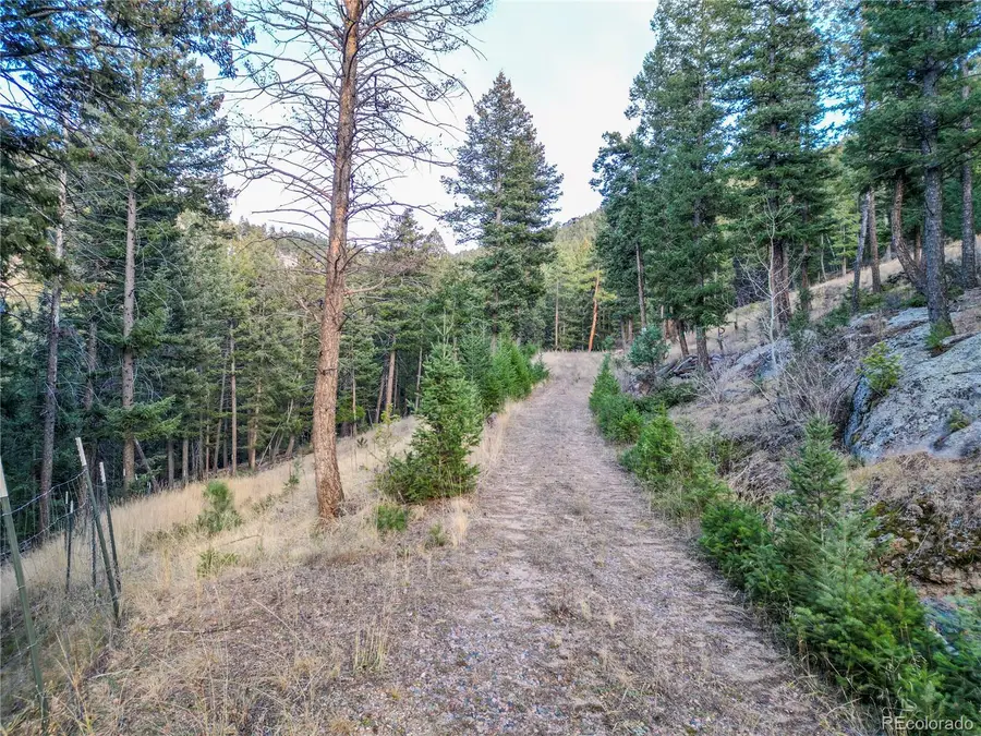 26779 Fern Gulch Road, Evergreen, CO 80439 - Image #3