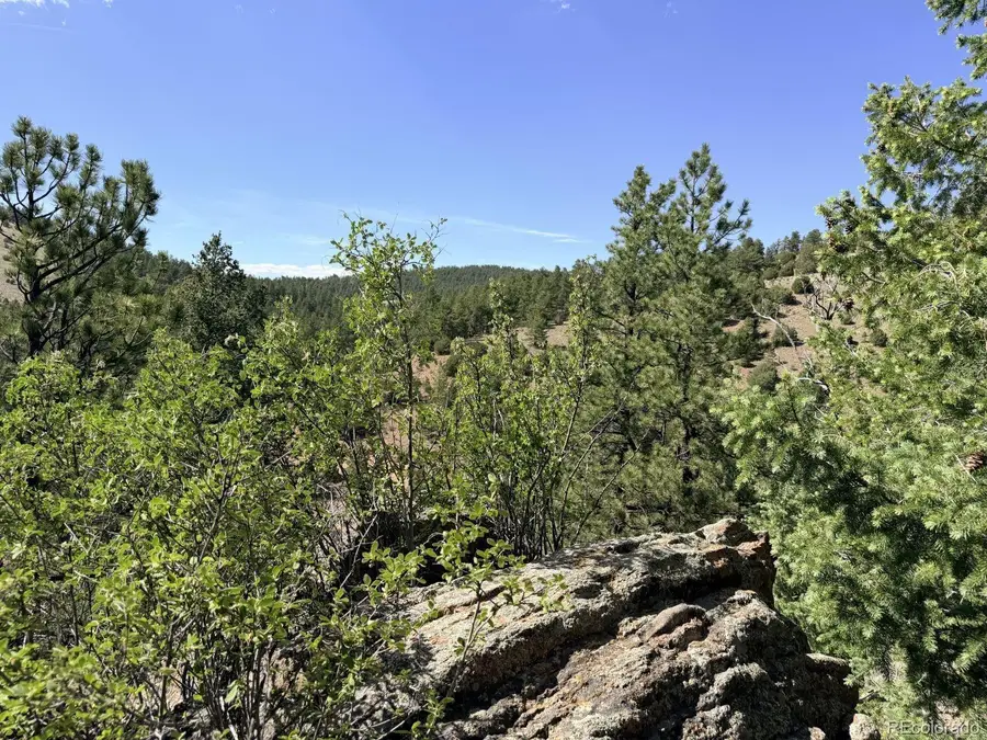 000 Schulze Ranch Rd, Westcliffe, CO 81252 - #3