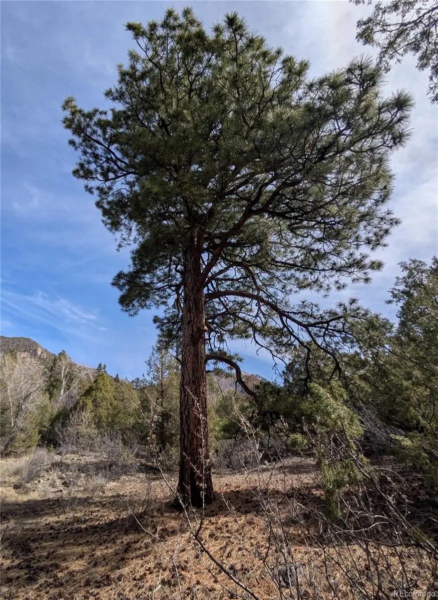 446 Arrowhead Overlook, Crestone, CO 81131 - #3