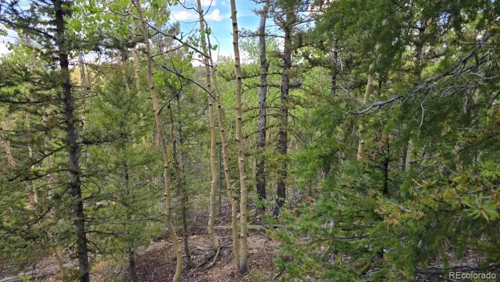 Lot 6803 Ryland Road, San Luis, CO 81152 - #1