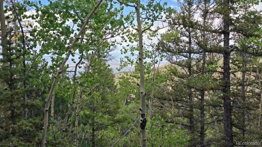 Lot 6803 Ryland Road, San Luis, CO 81152 - #3