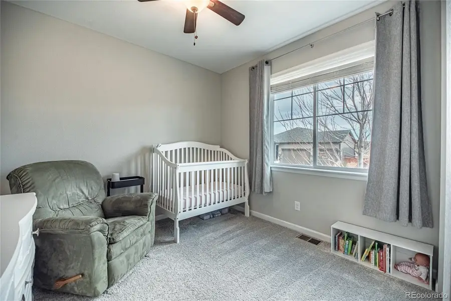 7408 Greenwater Circle, Castle Rock, CO 80108 - #3