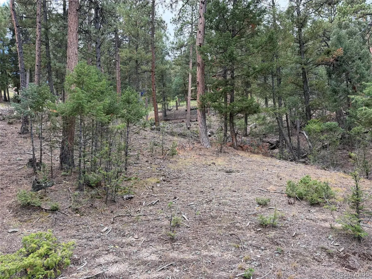 0000 Tobbogan, Pine, CO 80407 - #1