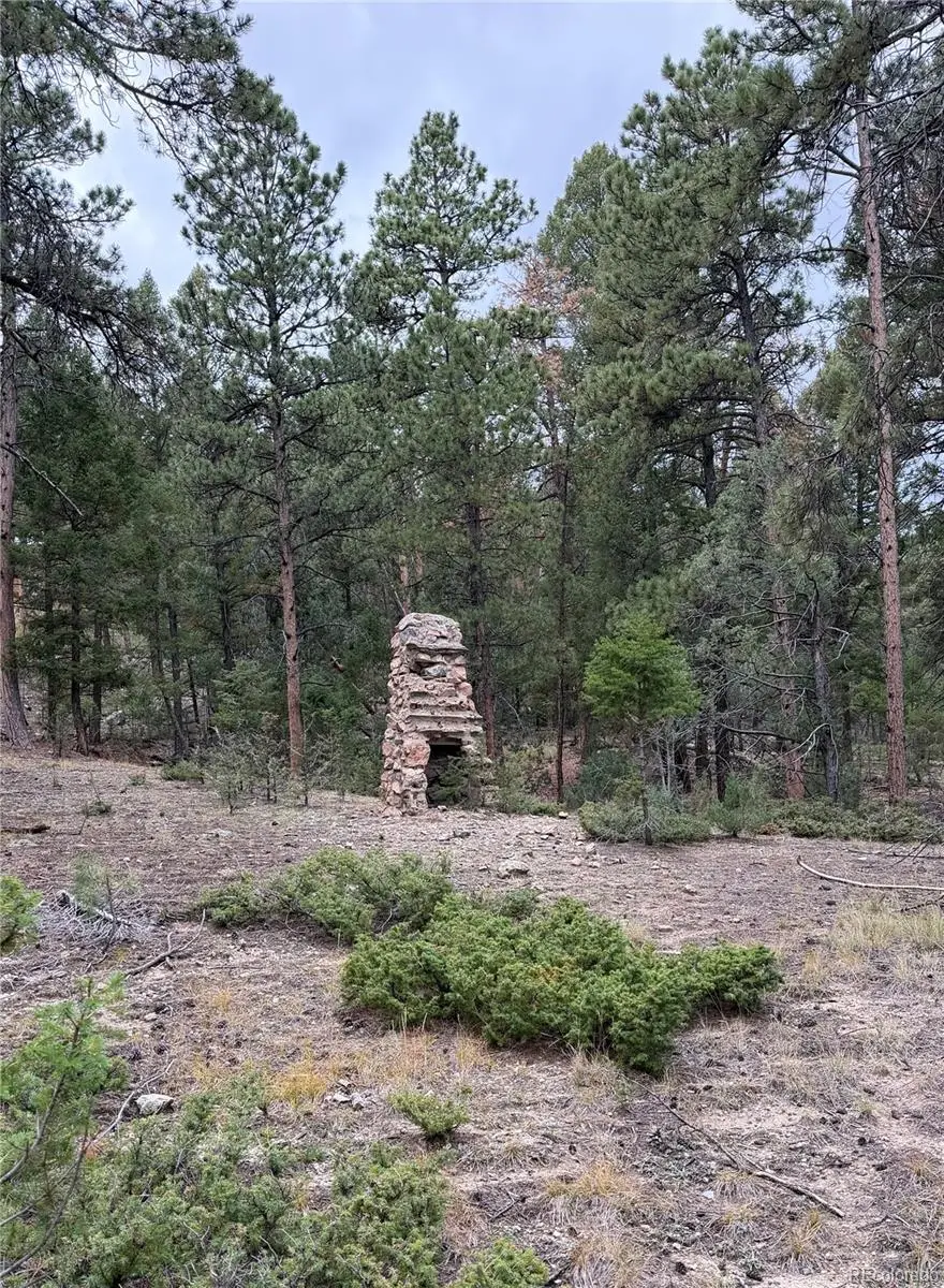 0000 Tobbogan, Pine, CO 80407 - #2