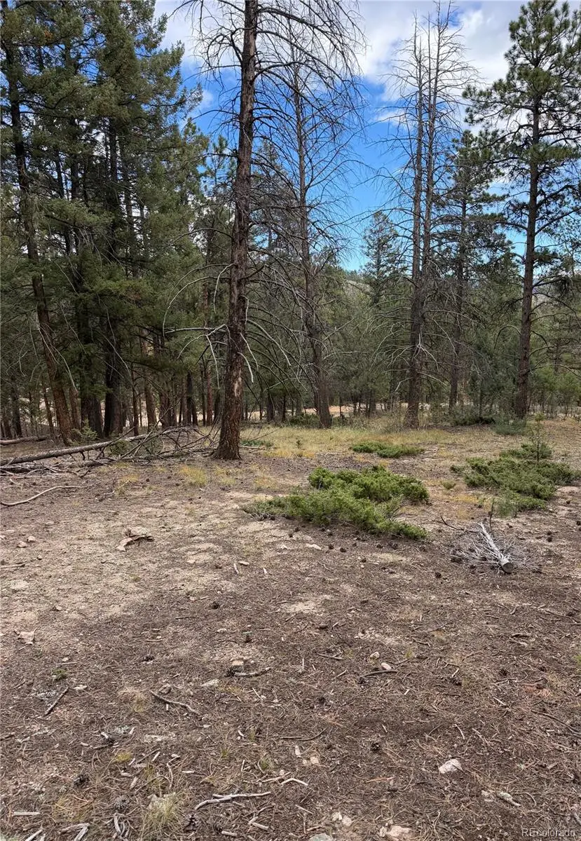 0000 Tobbogan, Pine, CO 80407 - #3