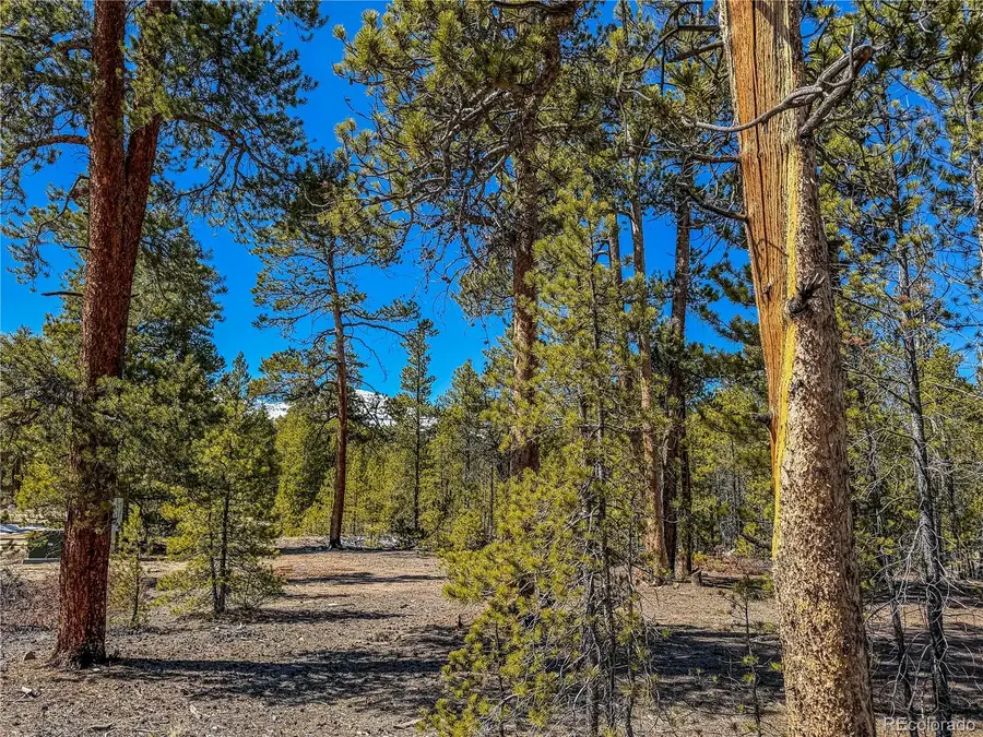 199 Cedar Drive, Twin Lakes, CO 81251 - #3