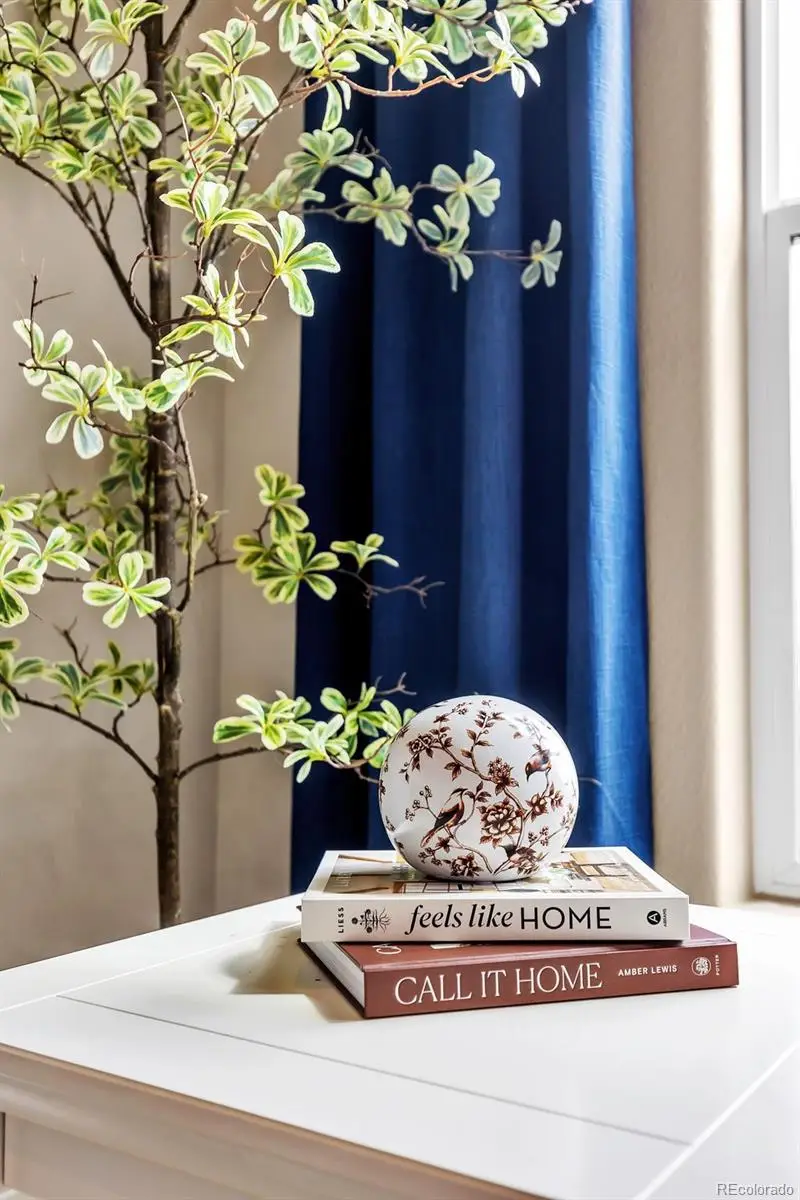 1459 Coronado Beach Drive, Monument, CO 80132 - #3