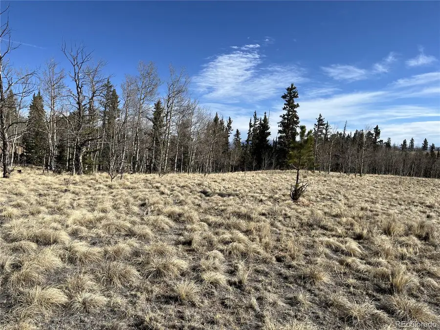 27 Warpath Road, Como, CO 80432 - #3