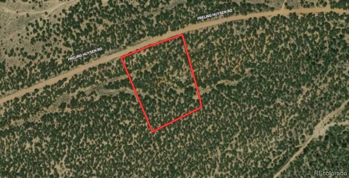 Freling Huysen Road, Fort Garland, CO 81133 - #1