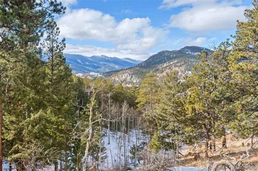 135 Linda Trail, Bailey, CO 80421 - #2