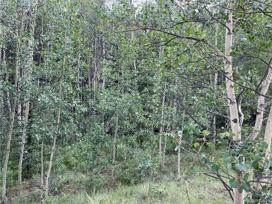 #3