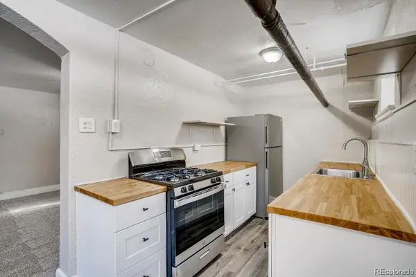 1050 N Washington Street #1A, Denver, CO 80203