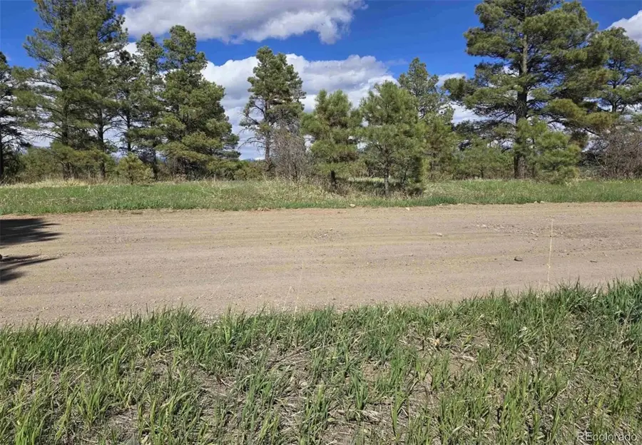 484 Prospect Boulevard, Pagosa Springs, CO 81147 - #2