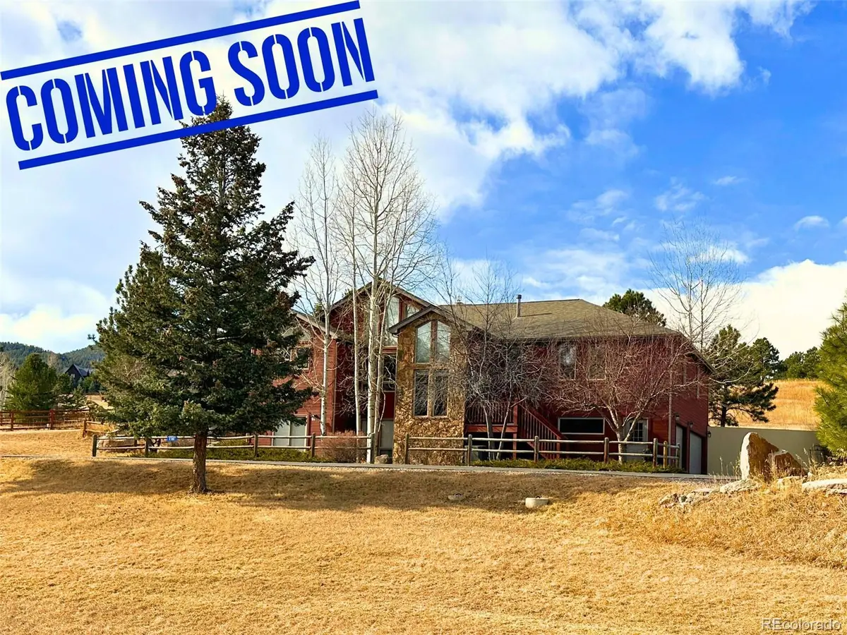 7307 Settlers Drive, Morrison, CO 80465 - #1