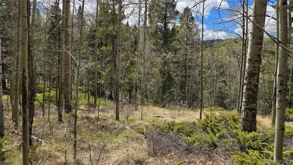 Lot 5853 Slegers Road, Fort Garland, CO 81133
