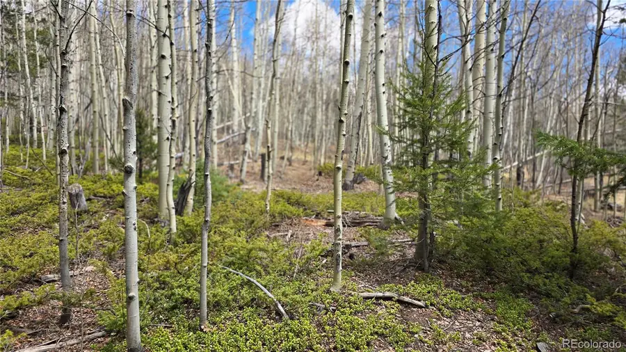 Lot 5853 Slegers Road, Fort Garland, CO 81133 - #2