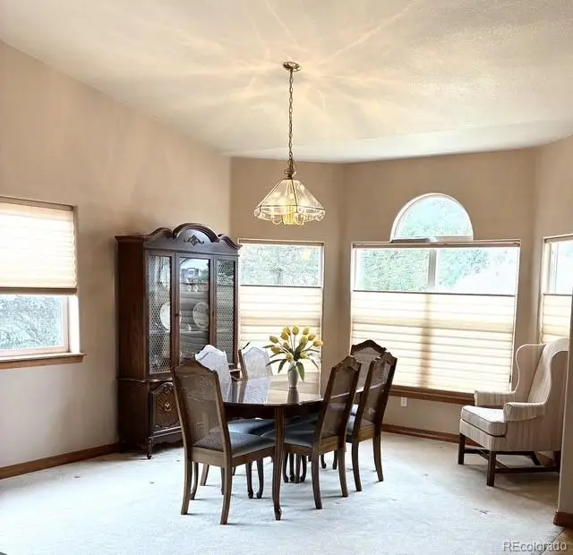 5431 Wells Fargo Drive, Colorado Springs, CO 80918 - #3