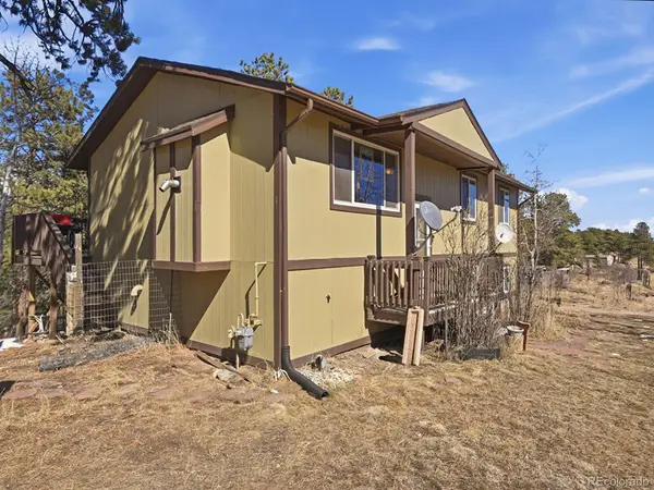 399 Conifer Drive, Bailey, CO 80421