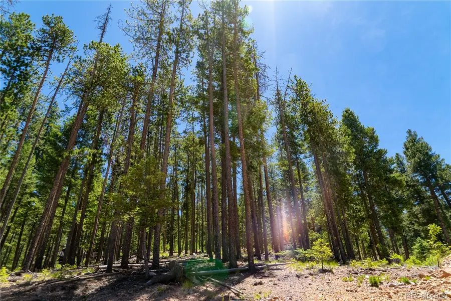6814 Lynx Lair Road, Evergreen, CO 80439 - #2
