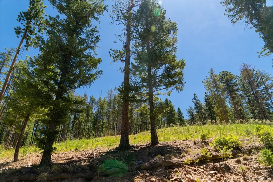 6814 Lynx Lair Road, Evergreen, CO 80439 - #3