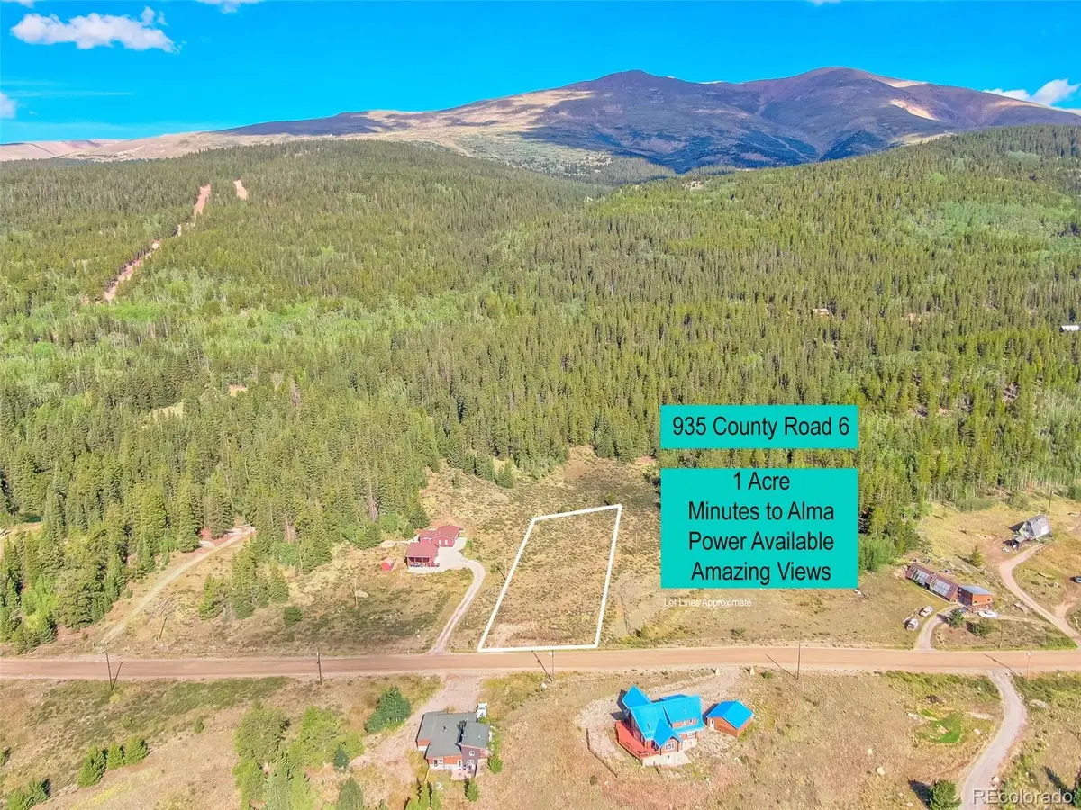 936 Co Rd 6, Alma, CO 80420 - #1