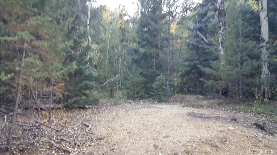 0 Ohio Gulch Trail, Dumont, CO 80436 - #2