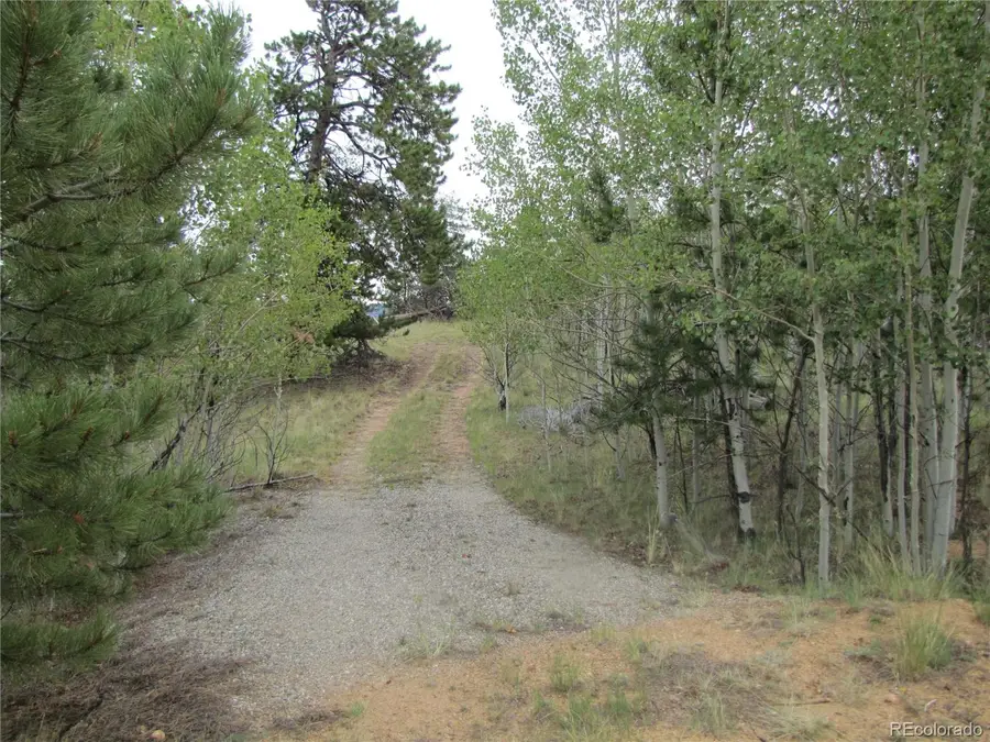 657 Pine Lane, Hartsel, CO 80449 - #2