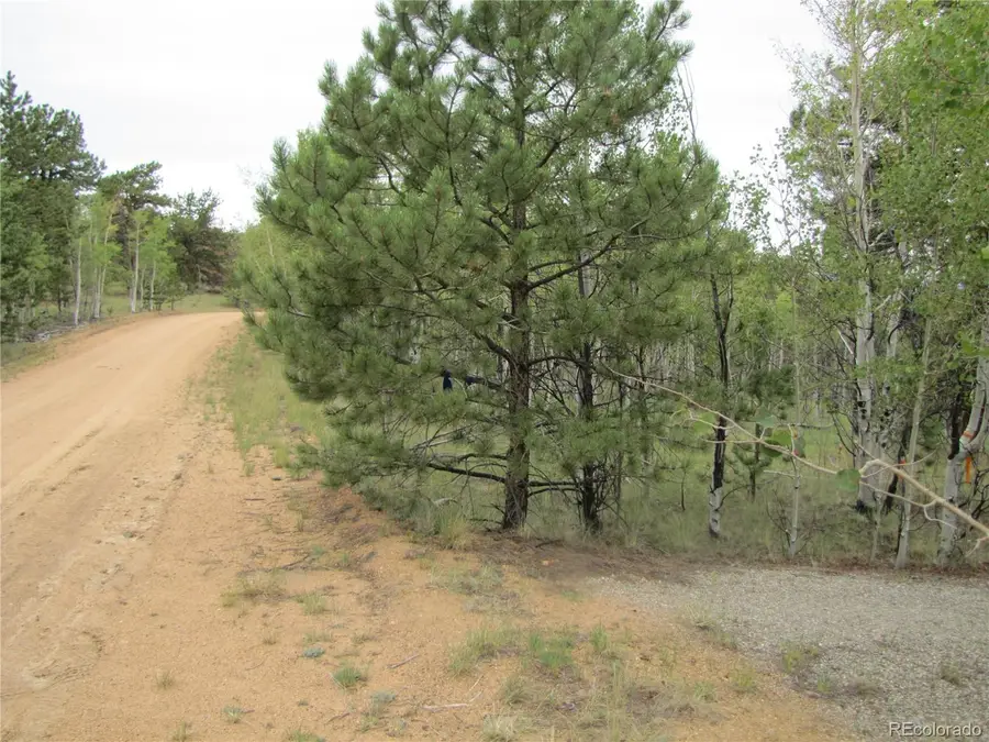 657 Pine Lane, Hartsel, CO 80449 - #3