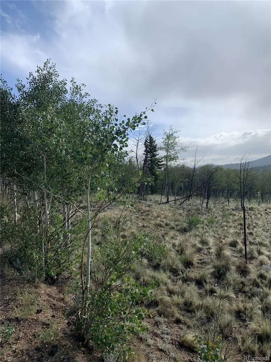 540 Vulture Lane, Como, CO 80432 - #3