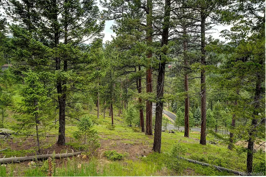 6875 Lynx Lair Road, Evergreen, CO 80439 - Image #2