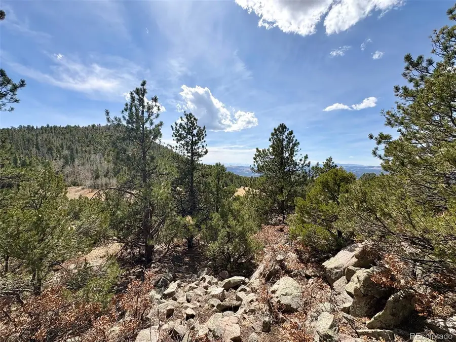 2121 Cr 1, Florissant, CO 80816 - #3