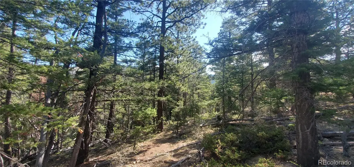Lot 5273 Vivian Road, Fort Garland, CO 81133 - #1