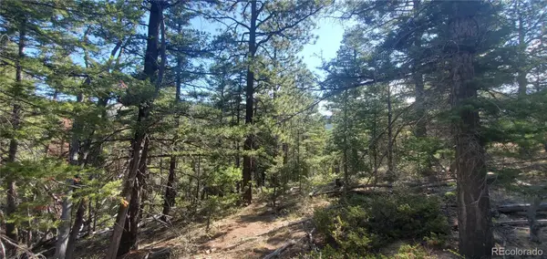 Lot 5273 Vivian Road, Fort Garland, CO 81133