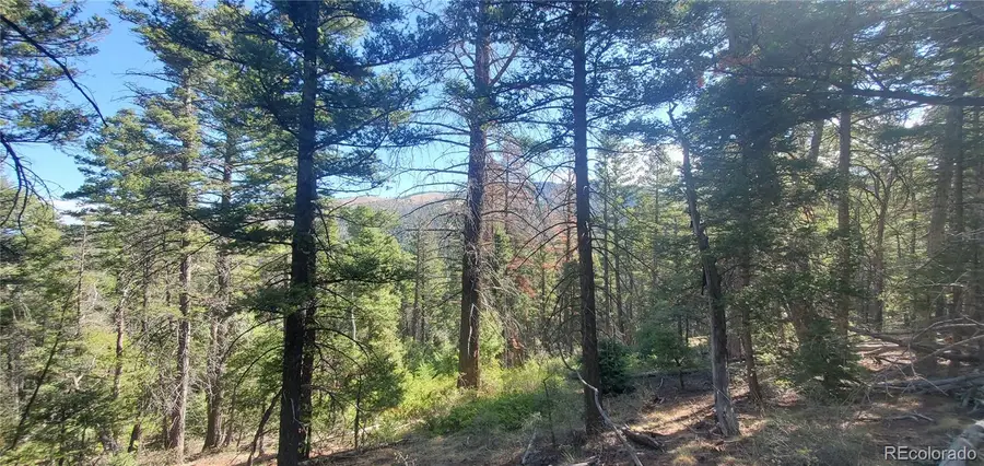 Lot 5273 Vivian Road, Fort Garland, CO 81133 - #3