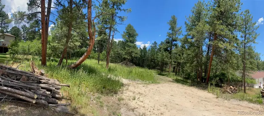 1025 Tenderfoot Drive, Larkspur, CO 80118 - #3