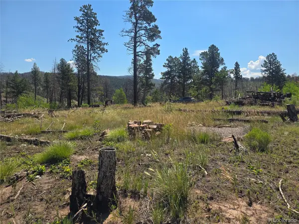 695 Cogbill Drive, Fort Garland, CO 81133