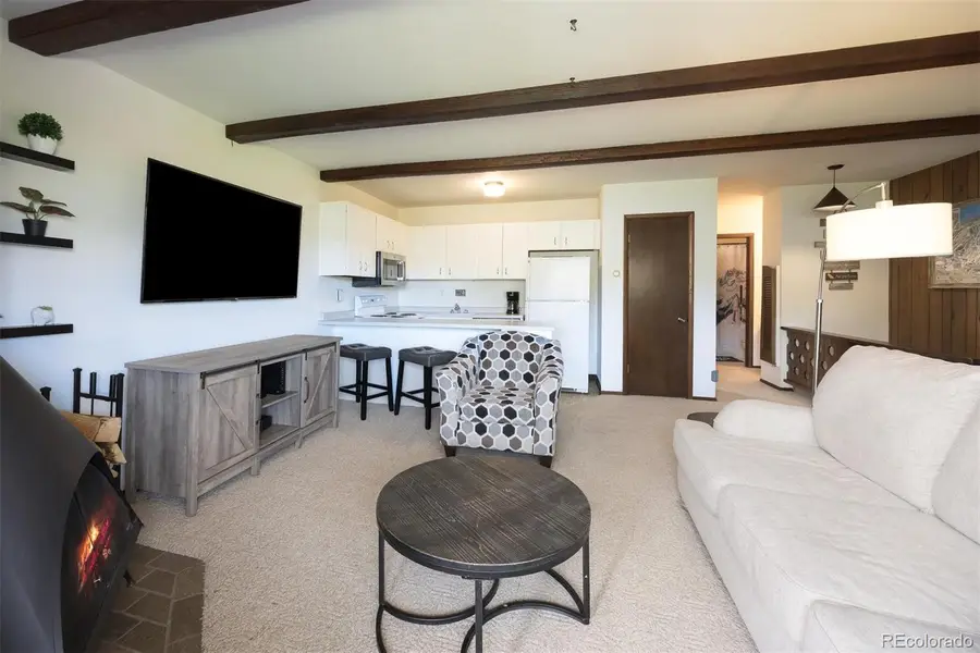 130 Evergreen Road #301, Dillon, CO 80435 - #2