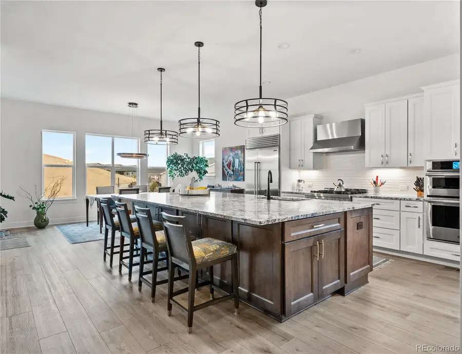 734 Alumroot Street, Castle Rock, CO 80104 - #2