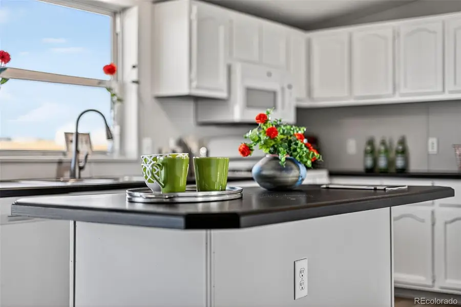 704 Buffalo Run Road, Calhan, CO 80808 - Image #3