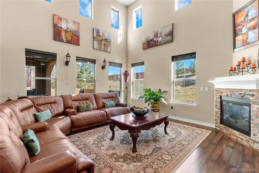 9254 Viaggio Way, Highlands Ranch, CO 80126 - #3