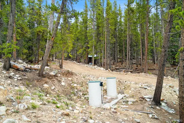 3259 Nugget Road, Fairplay, CO 80440