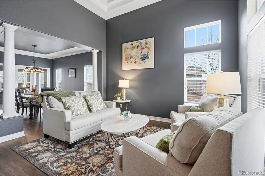 2303 Ridgetrail Drive, Castle Rock, CO 80104 - #3