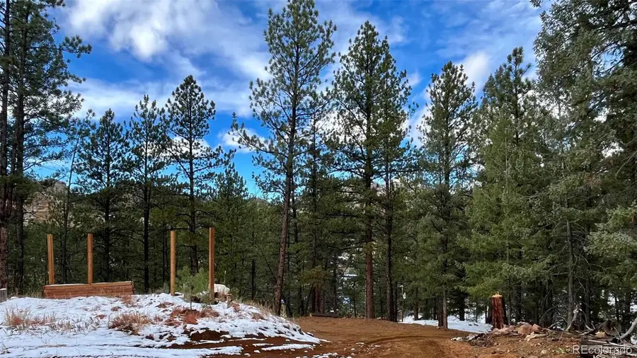 15126 N Pine Lake Place, Woodland Park, CO 80863 - Image #2