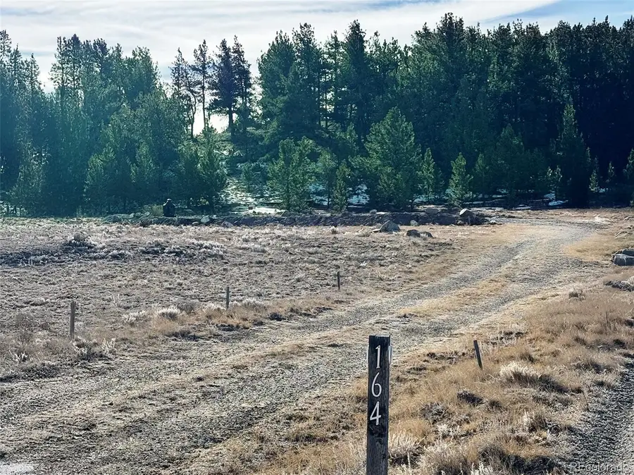 164 Lazy Circle, Hartsel, CO 80449 - Image #3
