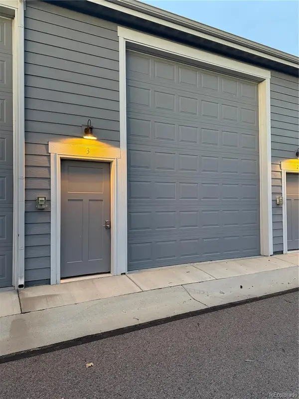 266 E Chestnut #3, Windsor, CO 80550